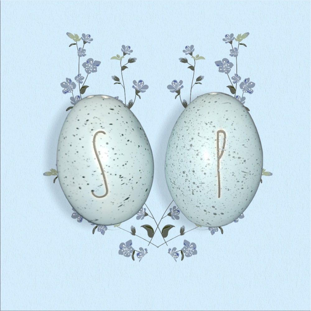 Salt Pepper Shakers